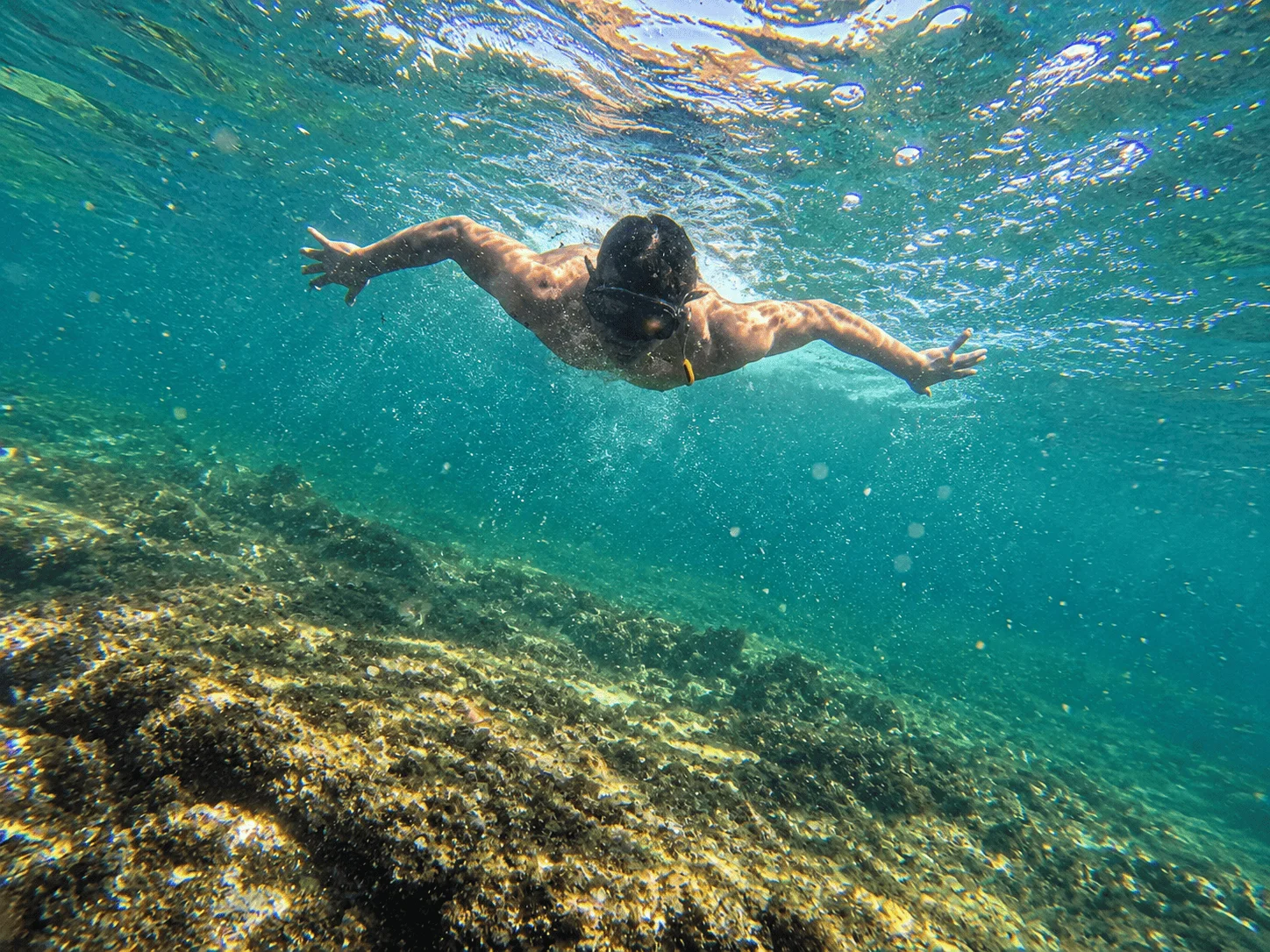 Snorkel - imagen 3